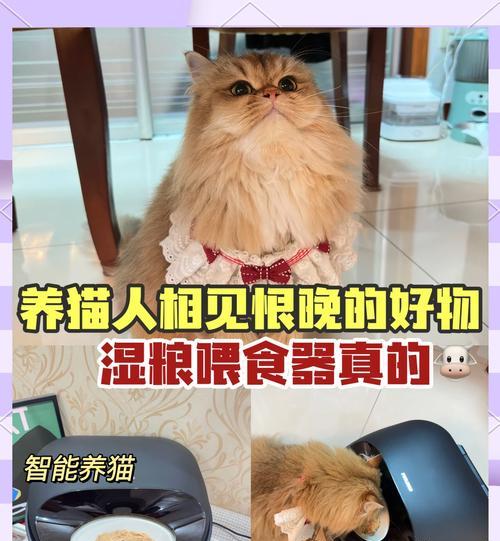 自动猫喂粮机怎么用图解?操作步骤是怎样的?
