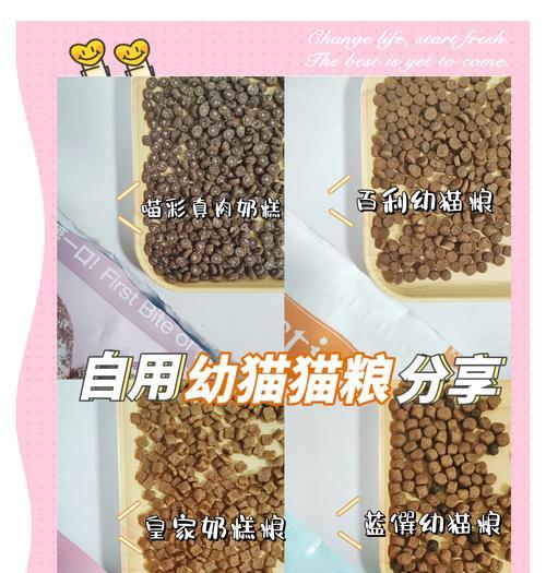 养猫前应准备哪种猫粮?