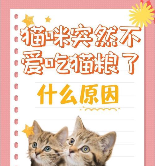 猫粮碗空了不吃会怎样?不吃猫粮的原因是什么?