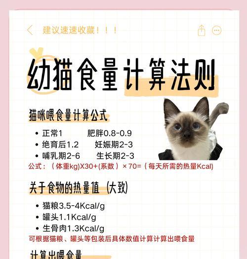 猫绝育怎么方便吃猫粮?绝育后猫咪饮食有何变化?