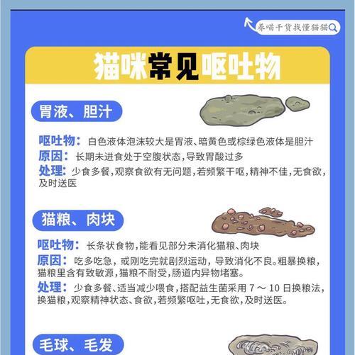 猫咪呕吐软便的原因是什么?如何处理这种情况?