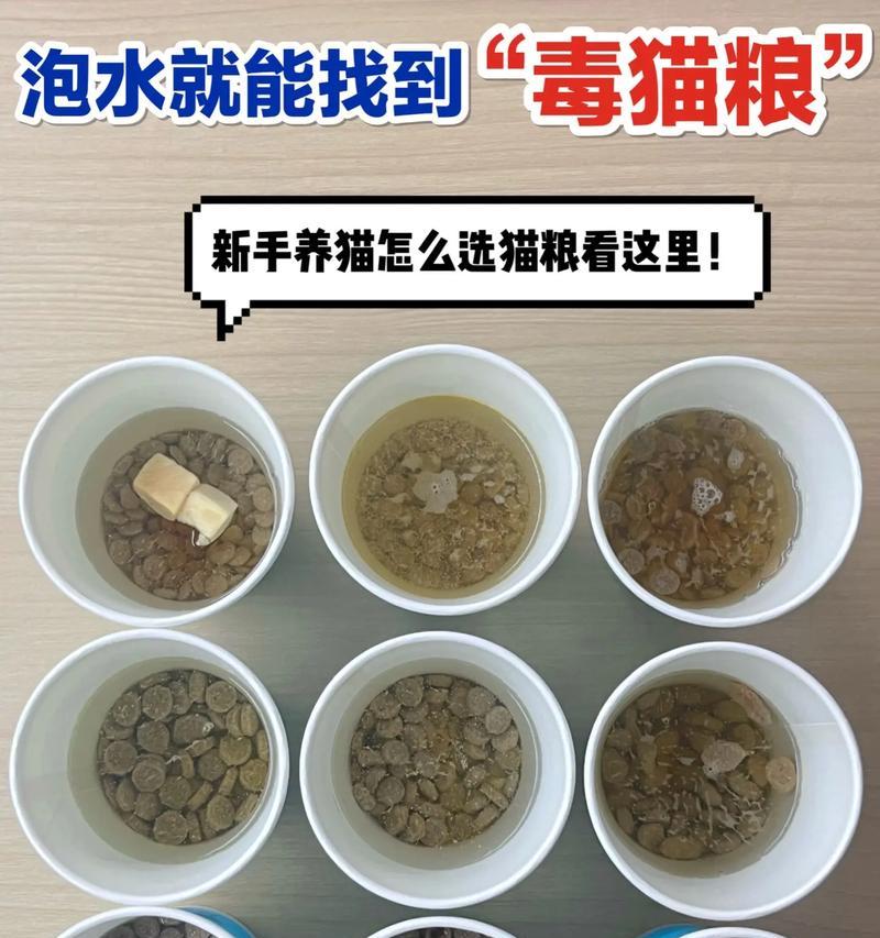 猫咪为何只吃泡水的猫粮?这样对健康有影响吗?