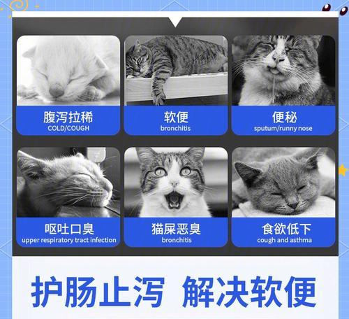 幼猫吃猫粮后腹泻的原因是什么?