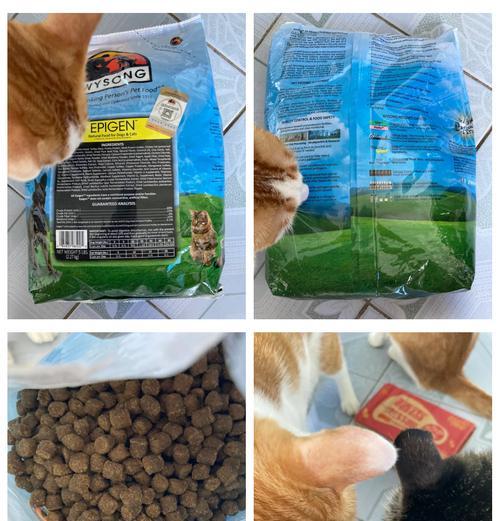 猫粮中的淀粉是什么?淀粉对猫粮有何影响?