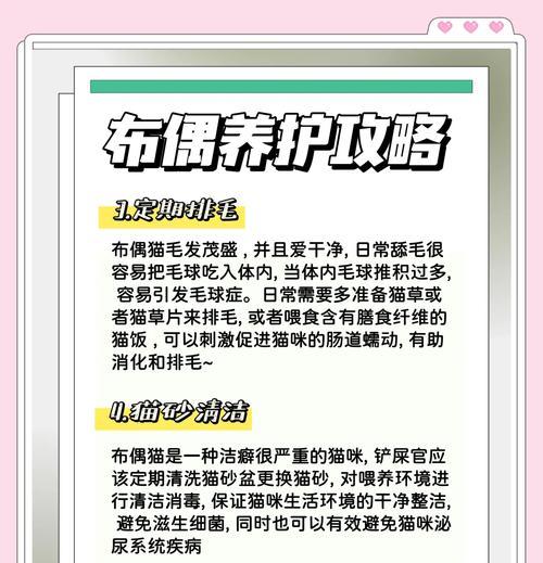 布偶猫粮怎么选？如何判断猫粮的好坏？