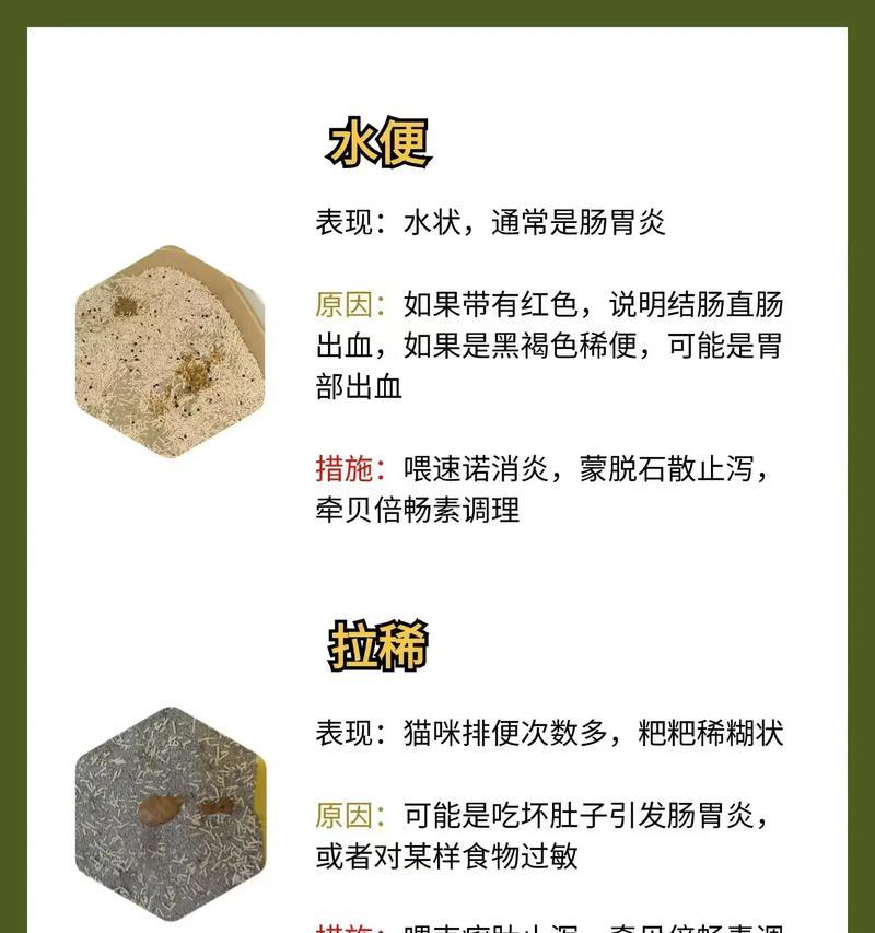 猫粮吃完后拉稀是何原因?