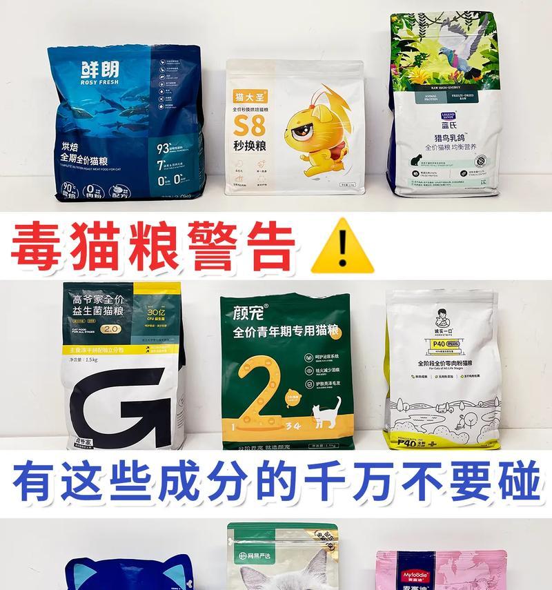 布偶猫为何拒绝食用碎猫粮?