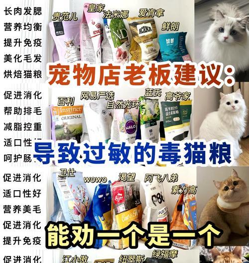 收到含虫子的猫粮应如何处理?
