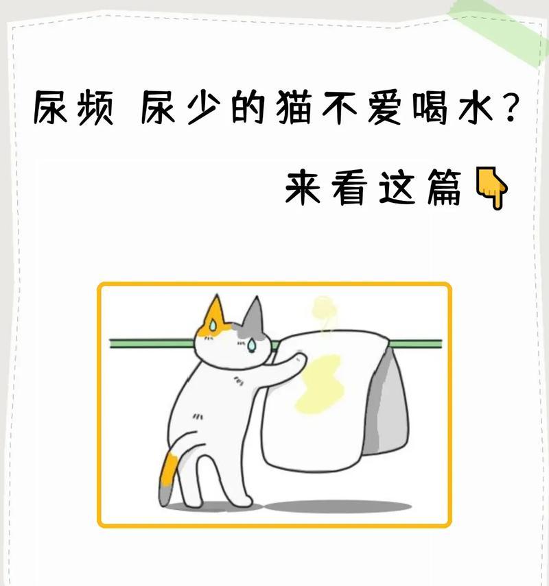 猫不怎么吃猫粮喝水量大?这是什么健康问题?