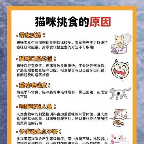半岁猫咪只吃猫粮不吃其他食物的原因?如何调整猫咪的饮食习惯?