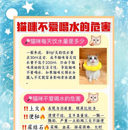 猫大口吞咽猫粮的原因是什么?