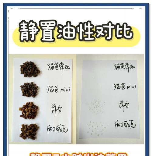 王泡芙适合喂食哪种猫粮?如何选择合适的猫粮品牌?