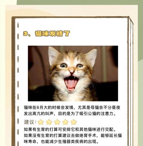 猫咪有猫粮却一直叫唤是为什么?