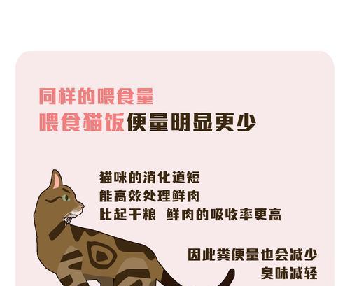 猫粮放饭的声音如何形容?有哪些形容词?