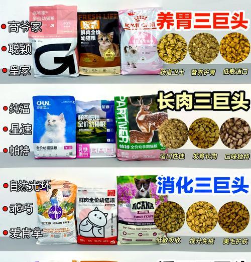 如何为幼猫挑选合适的抗敏猫粮?