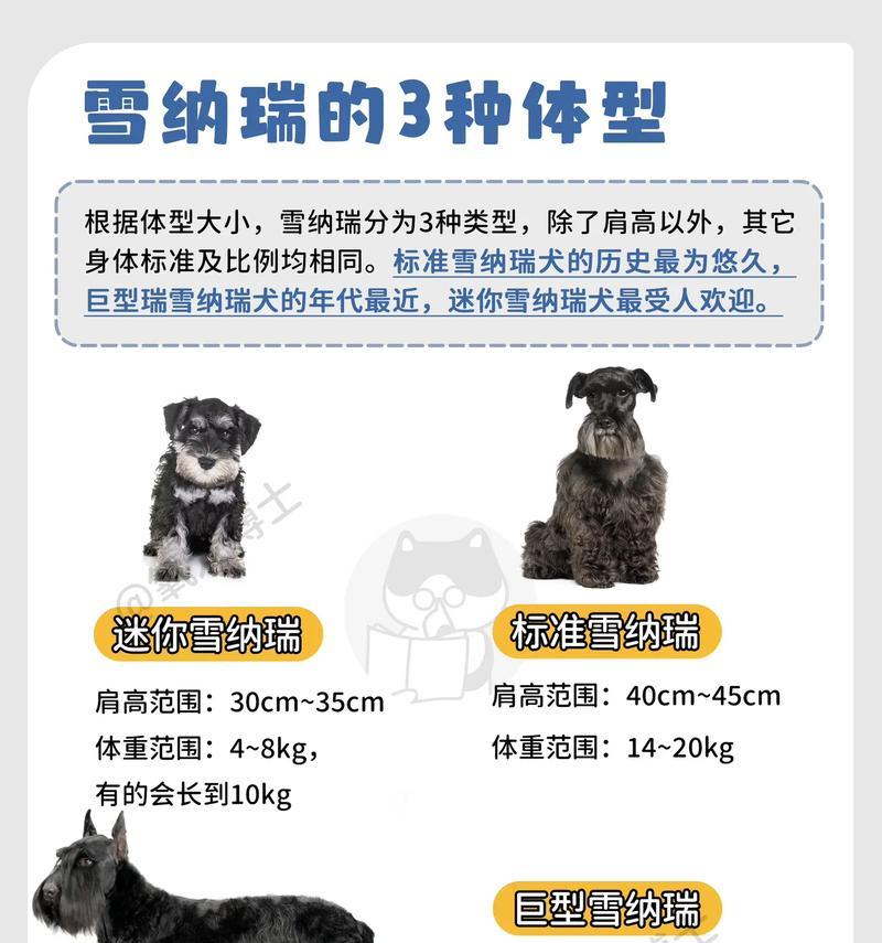 深圳狗市批发雪纳瑞的价格是多少?