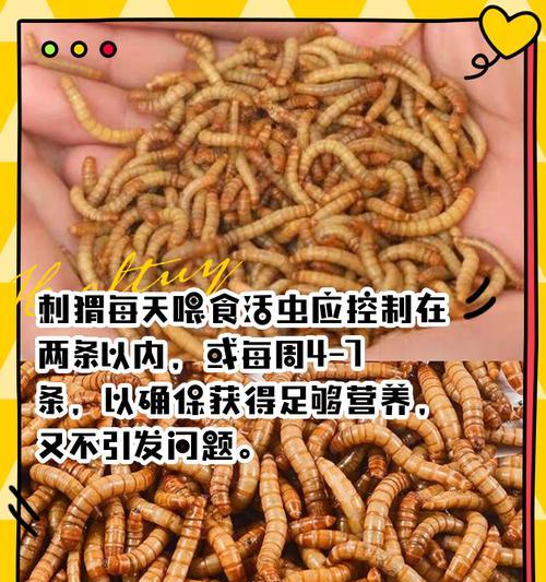 刺猬适合食用哪些猫粮?猫粮对刺猬的营养需求满足程度如何?