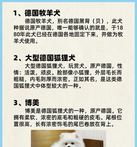英国德牧犬的价格范围是多少?