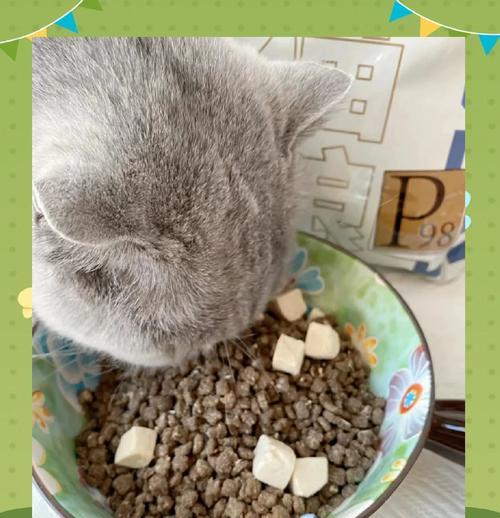 如何在家自制鲜肉猫粮?需要哪些材料和步骤?