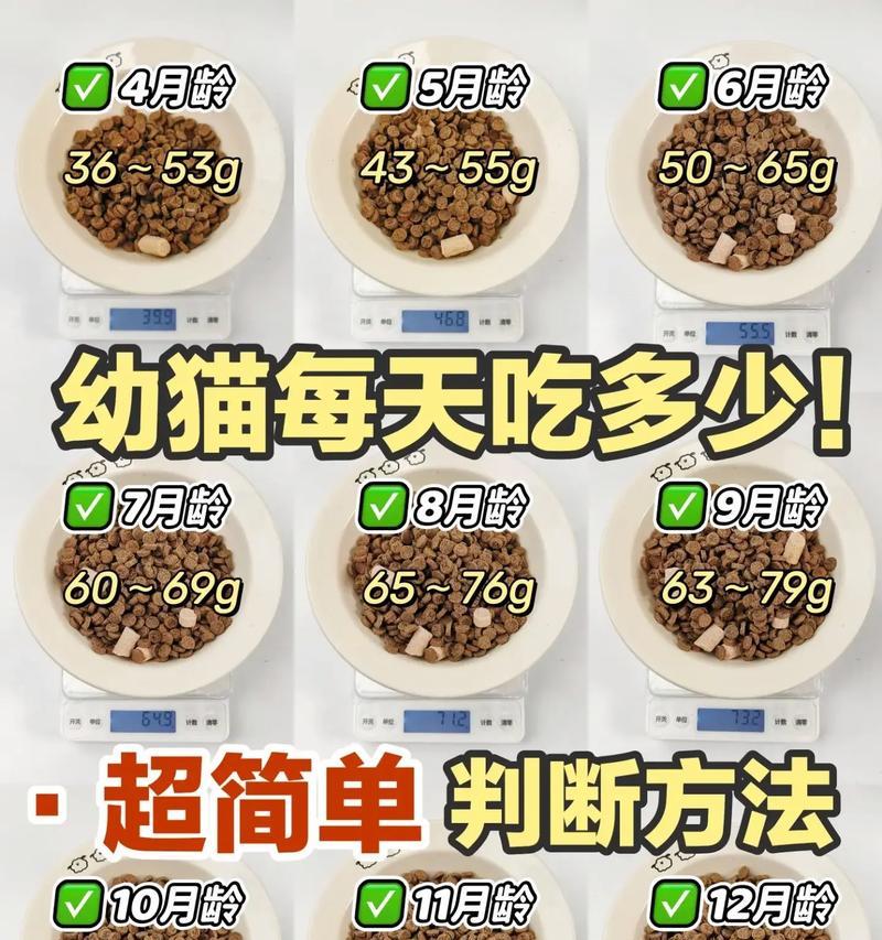 没有猫粮时如何让猫咪进食?