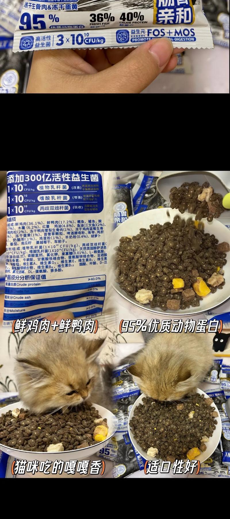 猫粮鸡肉夹心怎么做?需要哪些材料和步骤?