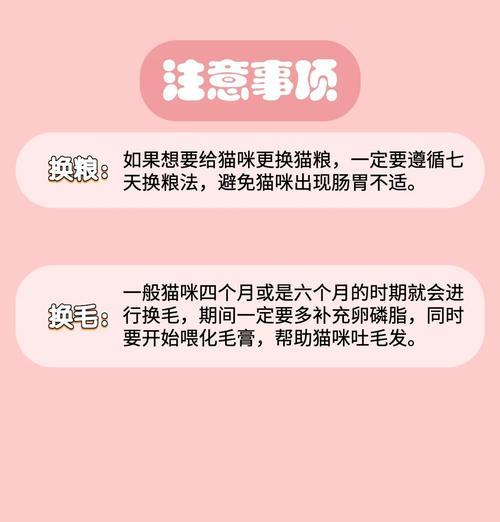 小奶猫如何正确喂食糊状猫粮?