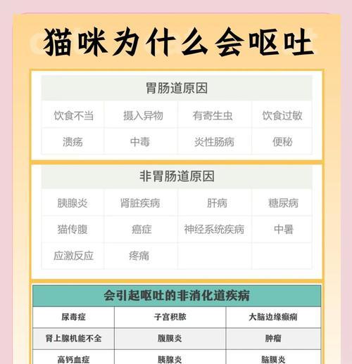 田园猫饭后呕吐猫粮的原因是什么?如何预防这种情况?