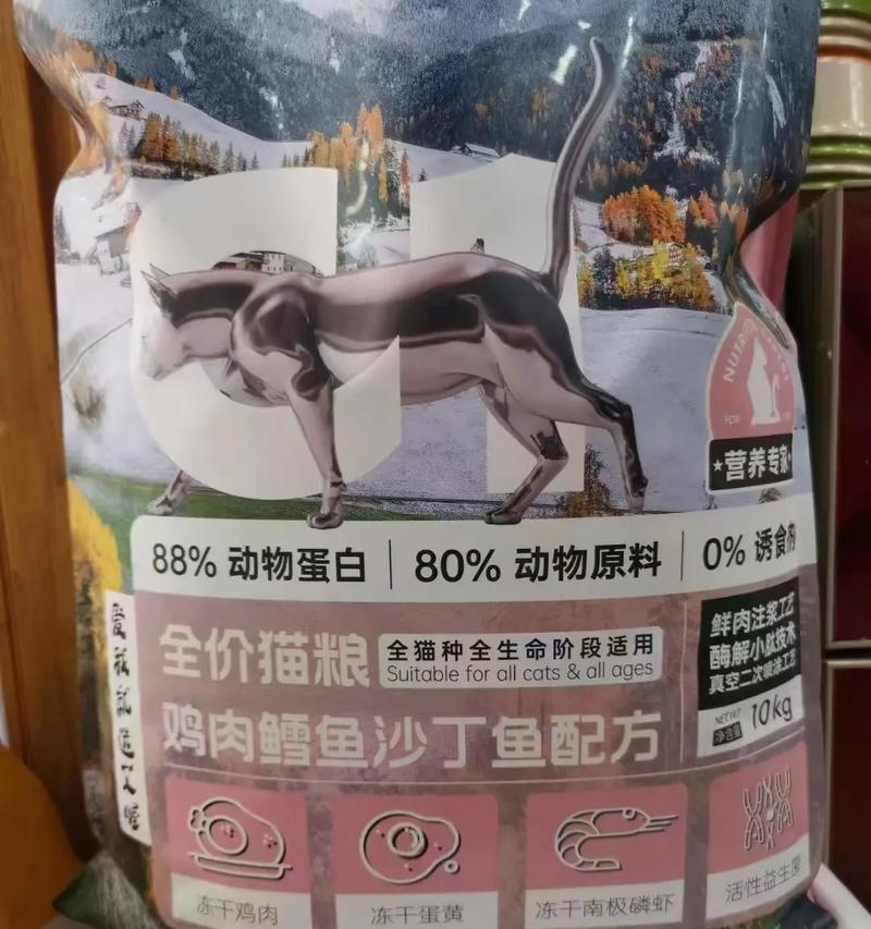 艾露猫应该吃哪种猫粮?艾露猫的饮食需求有哪些特点?