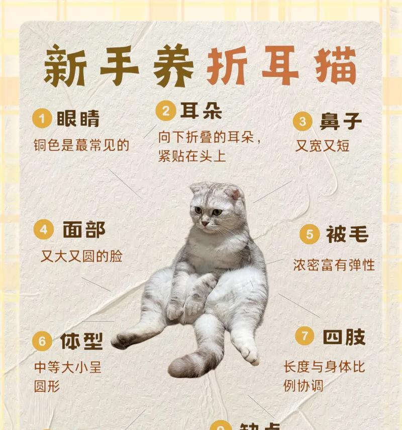 德金猫粮对折耳猫是否合适?