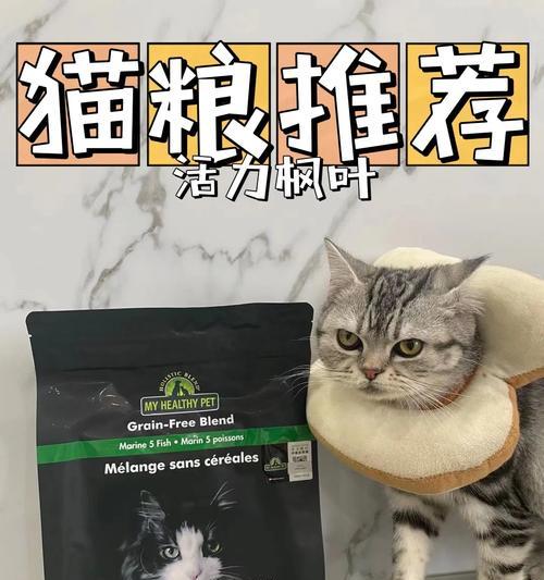 虎斑猫偏爱哪种猫粮?