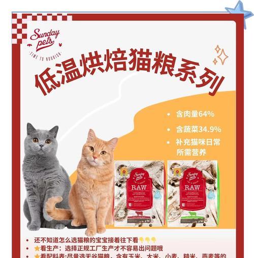 挑食的猫如何选择合适的猫粮?