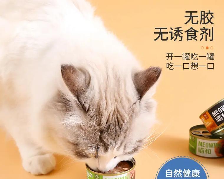 搭配罐头对猫粮有何影响?