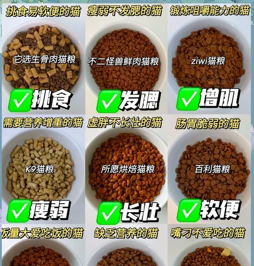 如何搜索猫粮边角料?猫粮边角料的购买途径有哪些?