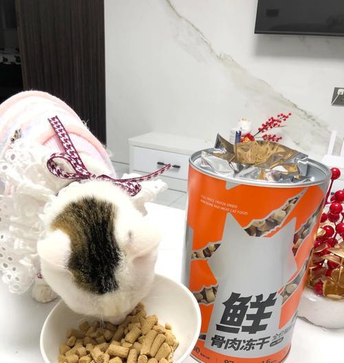 兔爪制作猫粮的方法是什么?