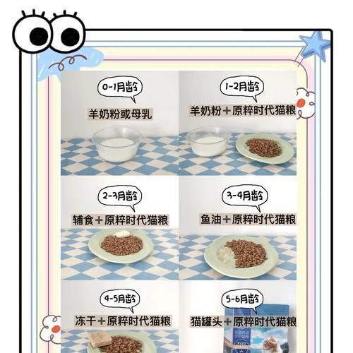 猫咪喝完奶后是否还需要吃猫粮?原因是什么?