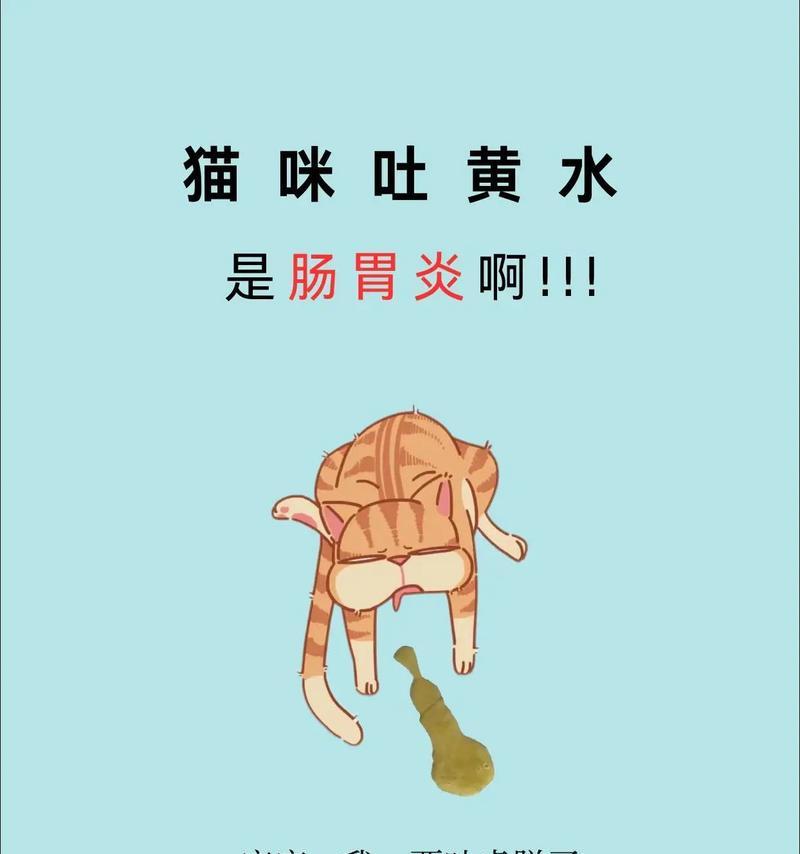 猫咪吃太快吐黄水是何原因?如何防止?