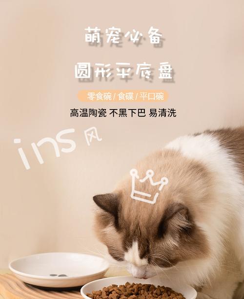 选择哪种盘子装猫粮最合适?
