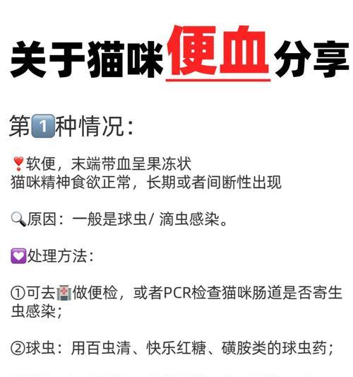 人误食猫粮后吐血是何原因?如何处理?