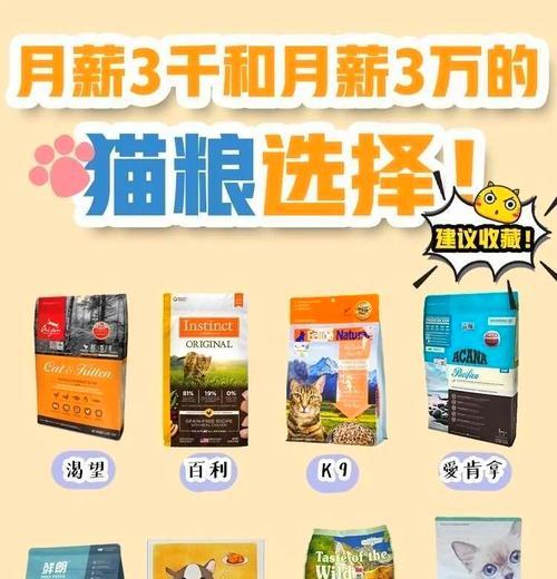 小猫为何偏爱特定猫粮?选择猫粮时应注意什么?