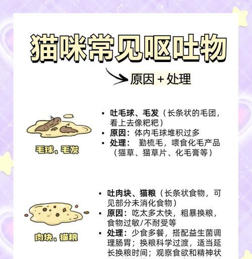幼猫吃完猫粮后吐水是什么原因?应该怎么办?