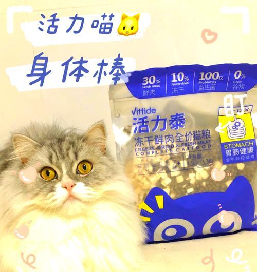 绍兴银泰猫粮怎么样?用户评价和购买建议是什么?
