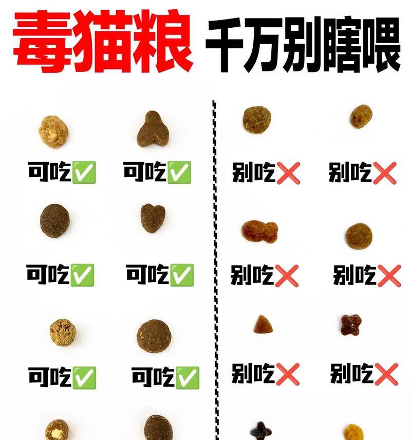 猫粮中发现的虫子是什么?对猫咪健康有何影响?