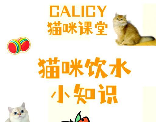 猫咪喝水与猫粮混合喂食是否可行?