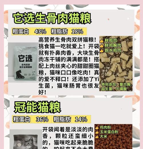 猫咪怎么喂那么肥的猫粮?如何平衡猫咪的饮食?