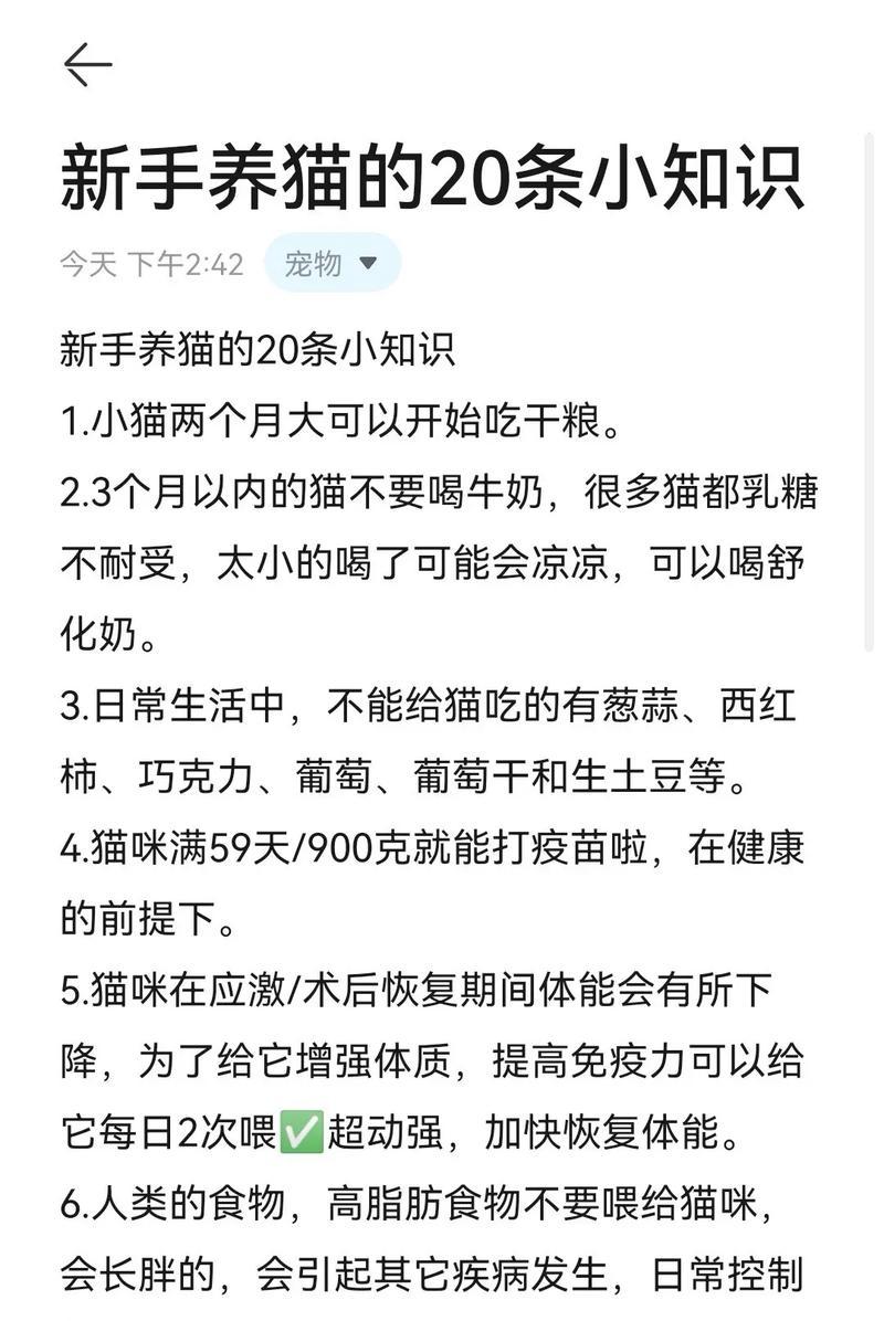 小猫到家后吃猫粮好吗为什么?新领养小猫的饮食建议是什么?