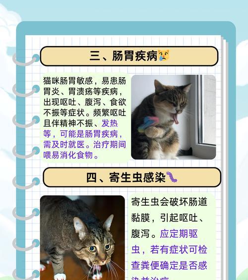 猫粮导致猫吐血的原因是什么？应该立即停止喂食吗？