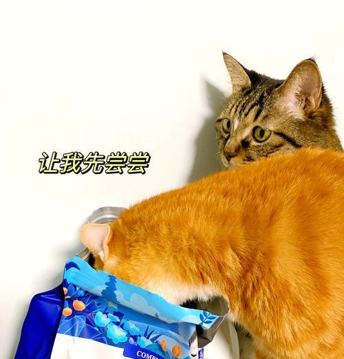 没烤箱怎么洗猫粮干净呢?有哪些方法可以清洗猫粮?