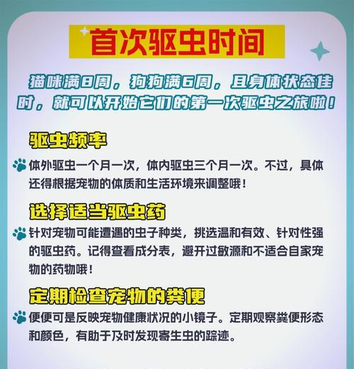 猫粮中发现小甲虫如何彻底清除?有效方法是什么?