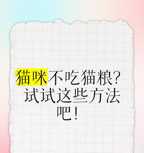 猫会吃豆腐不吃猫粮吗怎么办?如何让猫重新接受猫粮?