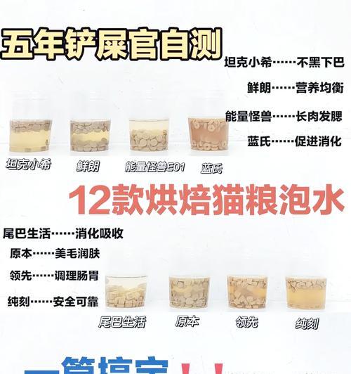 猫咪的水和猫粮应该分开吗?这样做有什么好处?